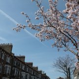 Springtime in London