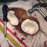 Coconut bashing