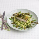 Herb-crusted cod with pea risotto